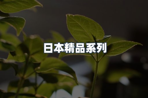日本精品系列