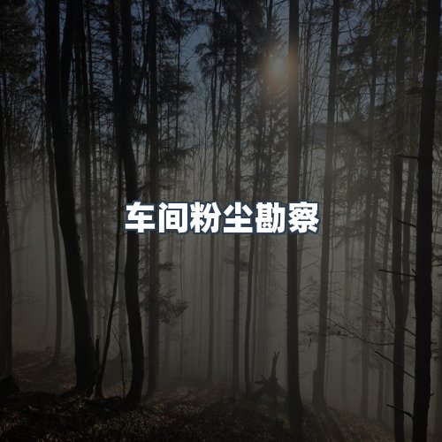 服务优势